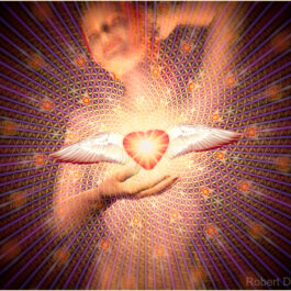 Activated Rose Quartz Programs & Tools
