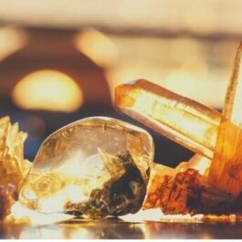 Focused Light ~ Citrine Gemstone Oil to Activate the New Spine and Its Magical Centers