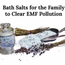 Sacred Space EMF Repair Bath Salts